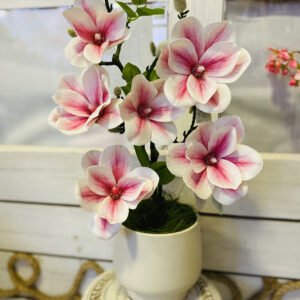 Magnólia kaspóba építve. I.